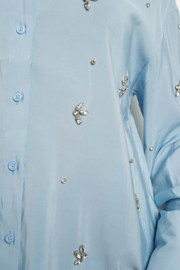 Shine On Blouse